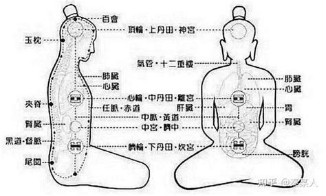 玄关穴|玄关一窍（气功术语）